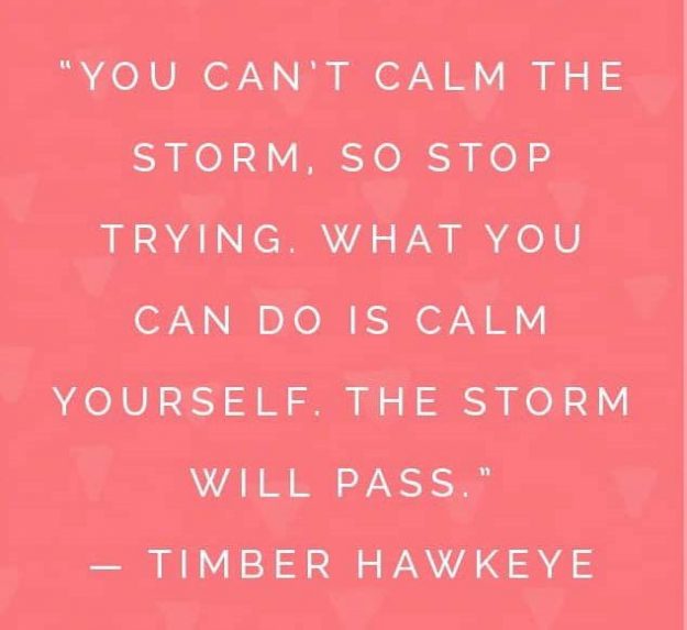 The Storm